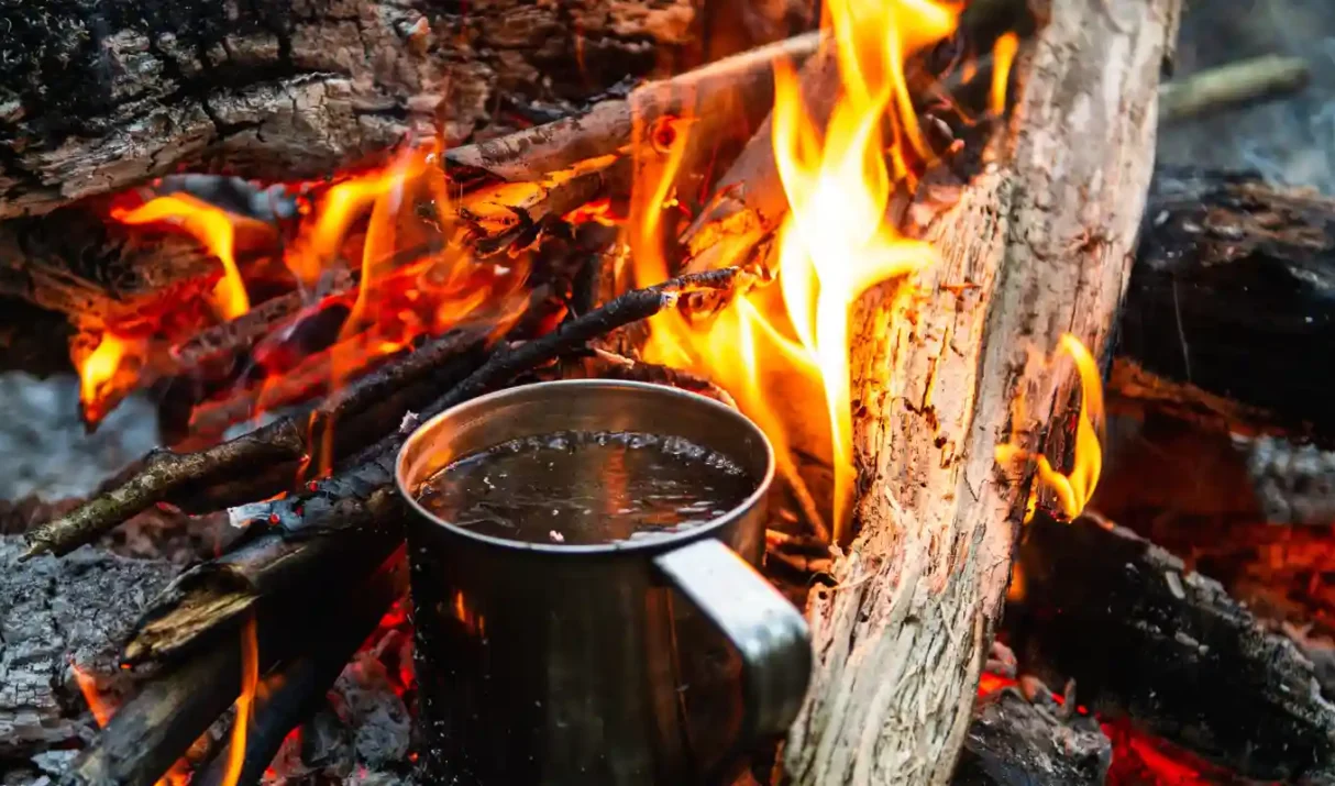 “SUPERVIVENCIA Y BUSHCRAFT: CUANDO LA REALIDAD NO PERDONA A LOS INGENUOS”.