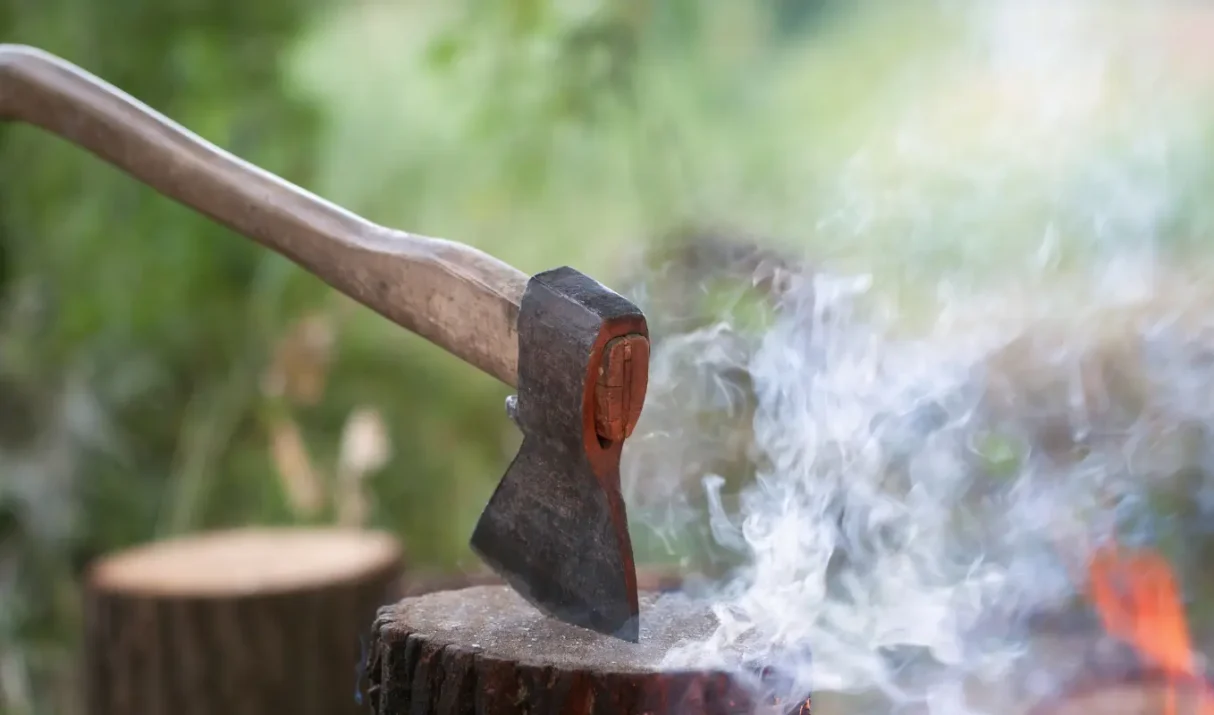 EL DÍA QUE TODO FALLE… ¿QUIÉN TOMARÁ EL CONTROL?