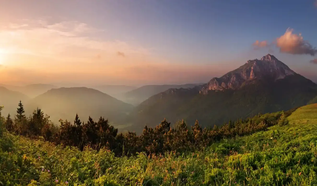 “SUPERVIVENCIA EN ESTADO PURO: EL DÍA QUE NADIE TE VENGA A BUSCAR”