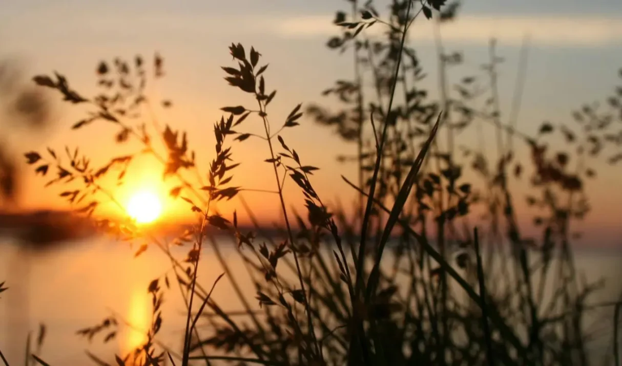 “EL LÍMITE ENTRE LA VIDA Y LA MUERTE EN ENTORNOS ADVERSOS”.
