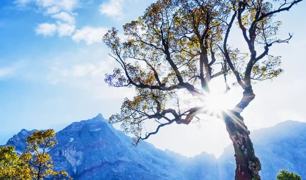 “CUÁNDO LA SUPERVIVENCIA DEPENDE DE TU MENTE”